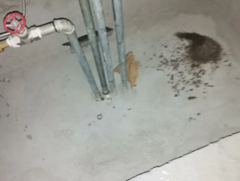 汕尾卫生间测漏水价格明细