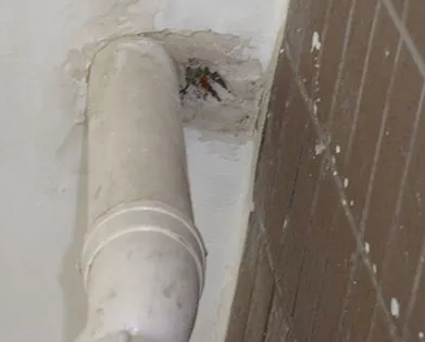 汕尾漏水检测哪家好